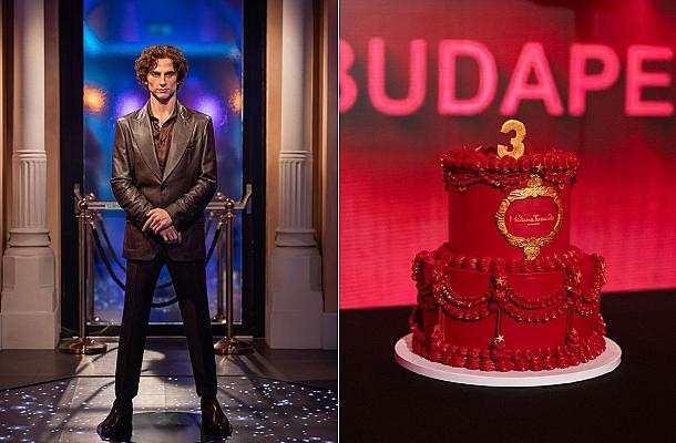 Madame Tussauds Budapest celebrates third birthday with new guest wax figure Timothée Chalamet