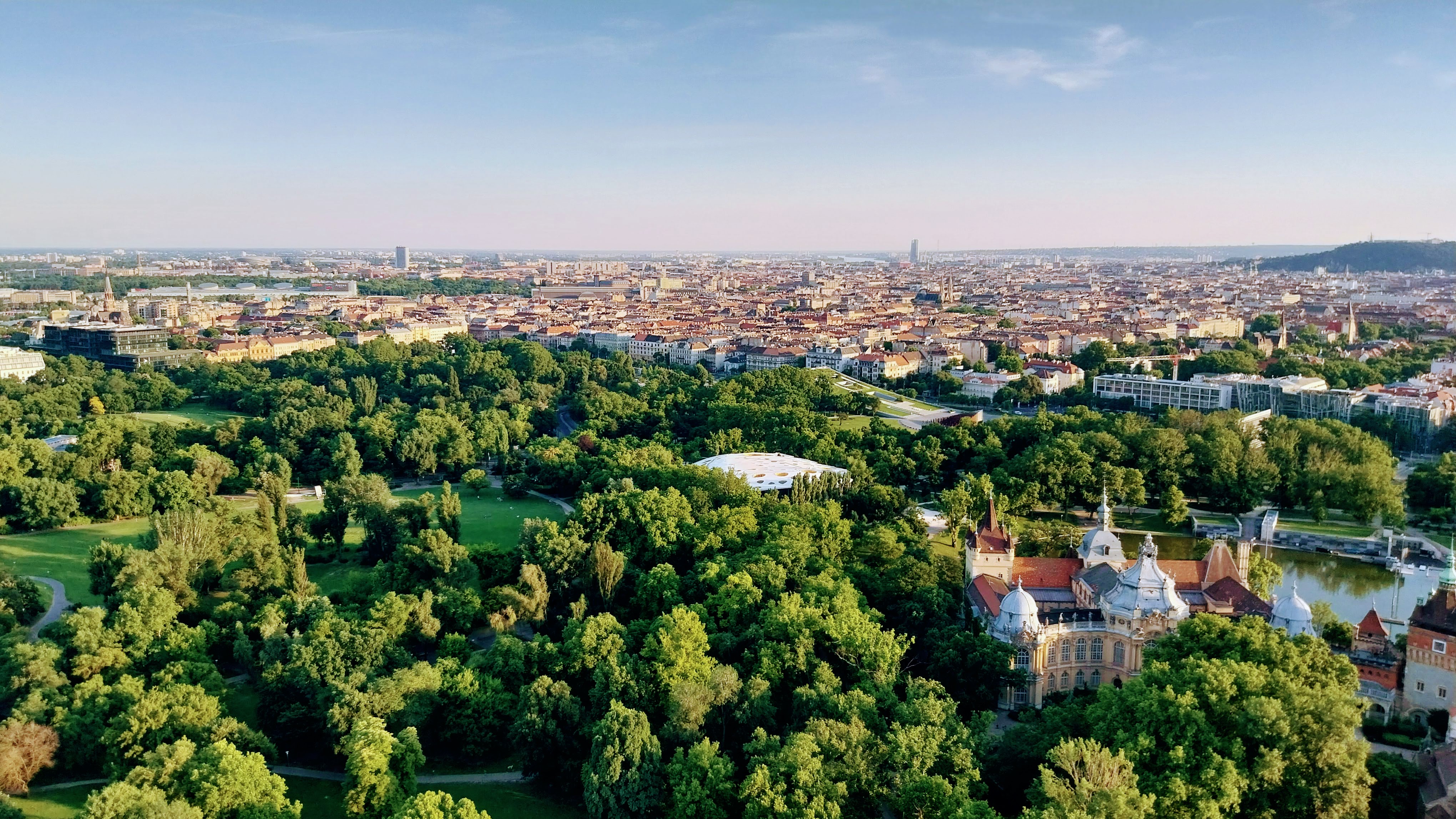 City Park from BalloonFly