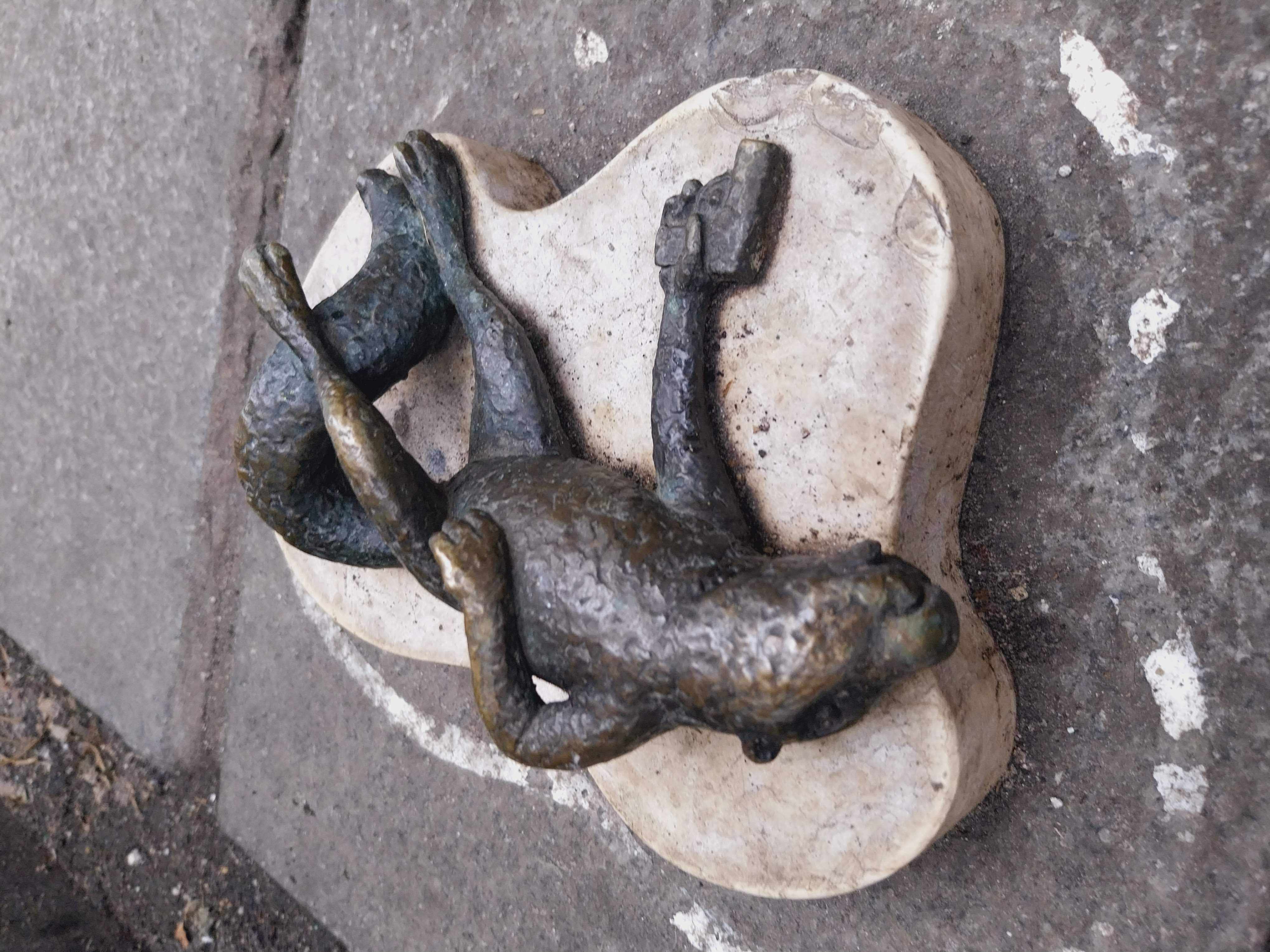 Dead Squirrel