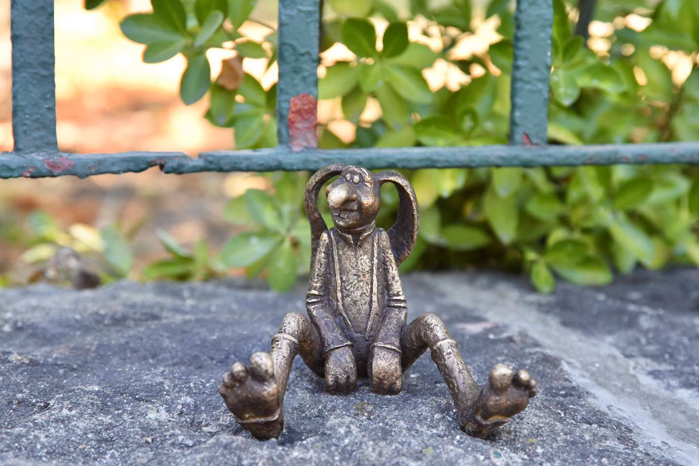 The rabbit - Photo Credit: Bethesda Children's Hospital