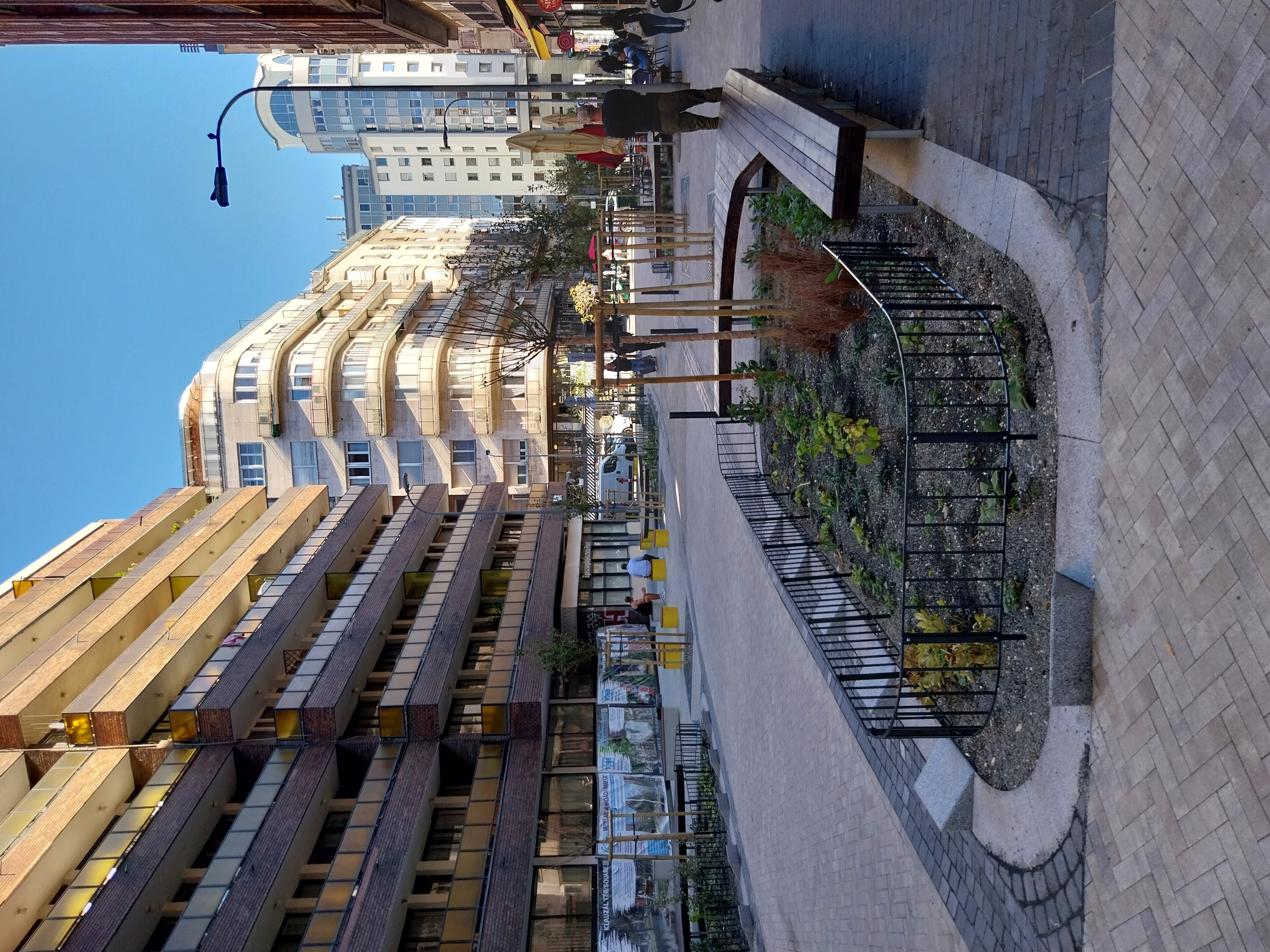 Mad&aacute;ch t&eacute;r